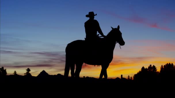Kovboj Rider v divočině na západ slunce — Stock video