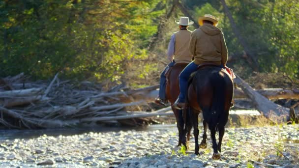 Cavaliers à cheval marchant dans la rivière — Video