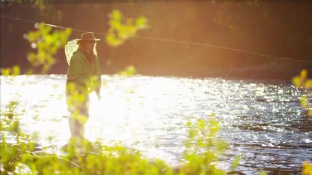 Pêche à la mouche femelle en eau douce — Video