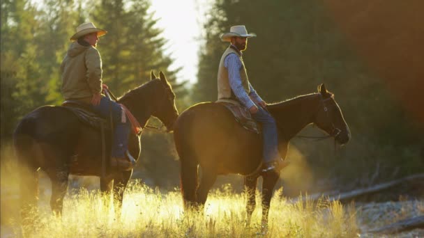 Cowboys Cavalcare i cavalli nel fiume — Video Stock