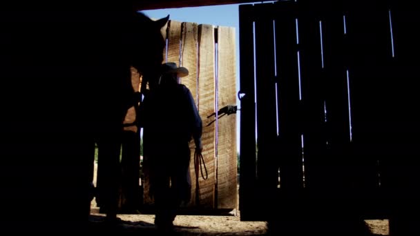 Ковбой в сарае с лошадью — стоковое видео