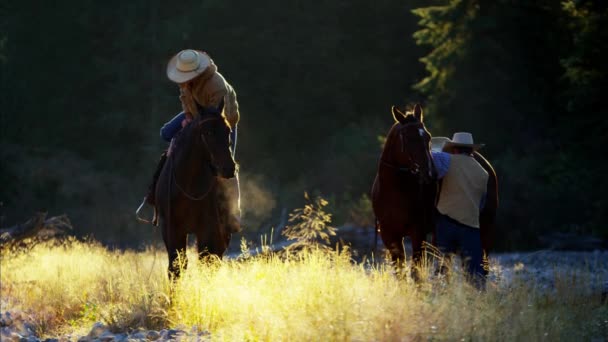 Cowboys rijden van paarden in de rivier — Stockvideo