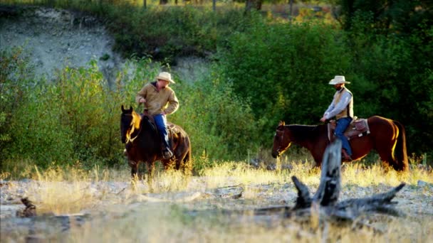 Всадники на лошадях в Скалистых горах — стоковое видео