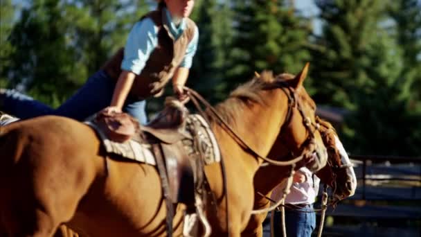 Mains de ranch avec chevaux — Video