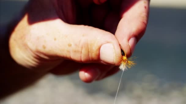 Pescador mão amarrando mosca seca — Vídeo de Stock