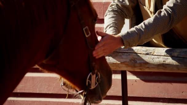 Cowboy met paard verlijmen — Stockvideo
