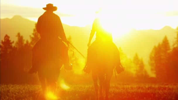 Cowboy-Fahrer in der Wildnis bei Sonnenuntergang — Stockvideo