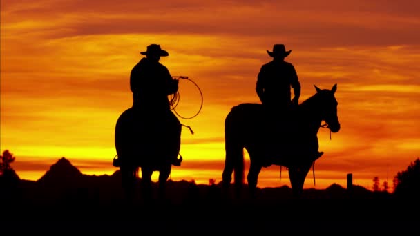 Cowboy Riders in wilderness forest area — Stock Video