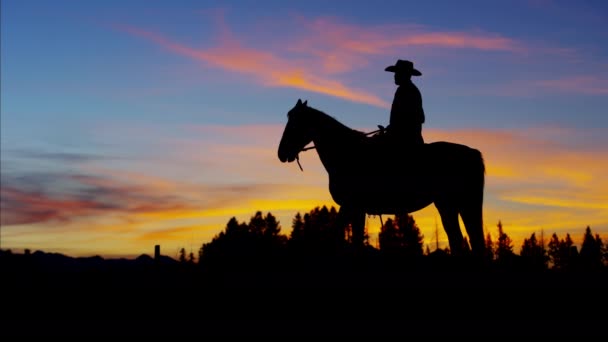 Cowboy Rider i vilda västern-området — Stockvideo
