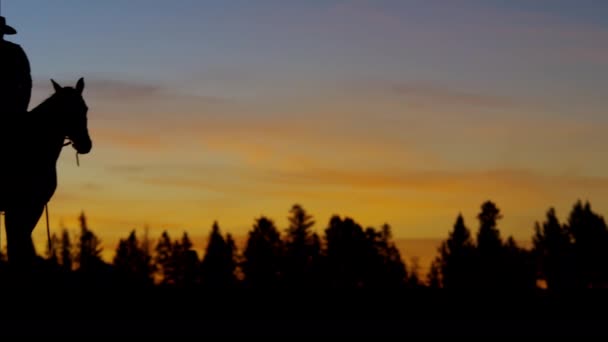 Cowboy Rider in wilderness at the sunset — Stock Video