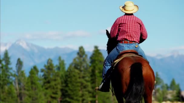 Häst ryttare på Kootenay nationalpark — Stockvideo