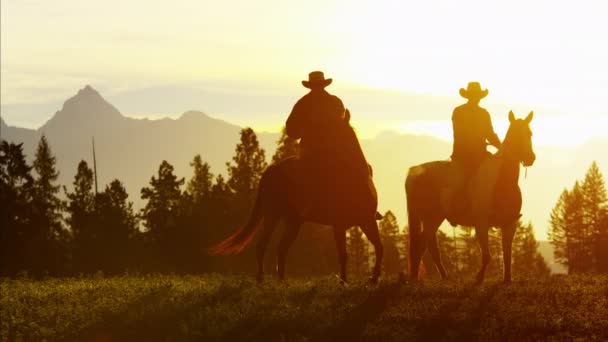 Cowboy Jinetes en el área silvestre del bosque — Vídeos de Stock