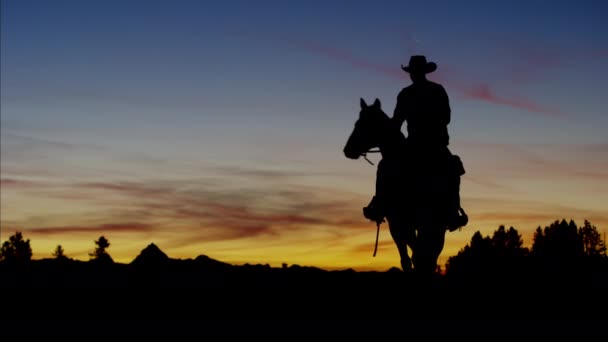 Cowboy Rider i vildmarksområde på solnedgången — Stockvideo