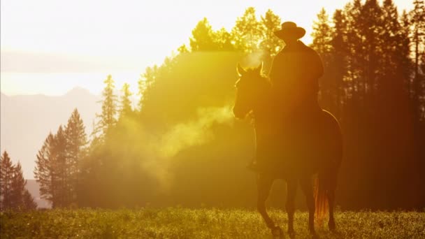 Cowboy Rider w Puszczy na zachód słońca — Wideo stockowe