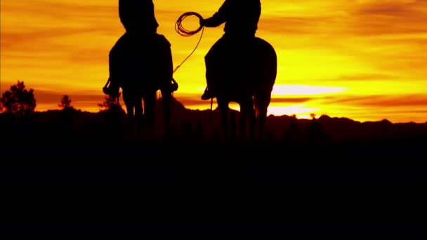 Cowboy-Fahrer in der Wildnis bei Sonnenuntergang — Stockvideo