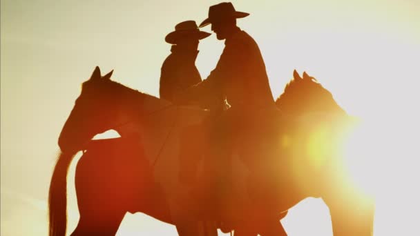 Cowboy renners in de woestijn bij de zonsondergang — Stockvideo