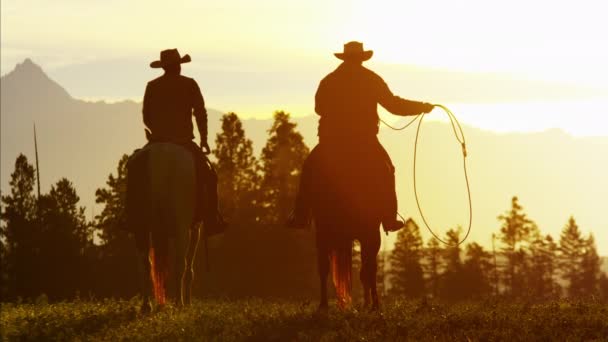 Cowboy-Fahrer im Waldwildnisgebiet — Stockvideo