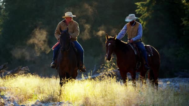 Jinetes a caballo en Montañas rocosas — Vídeos de Stock