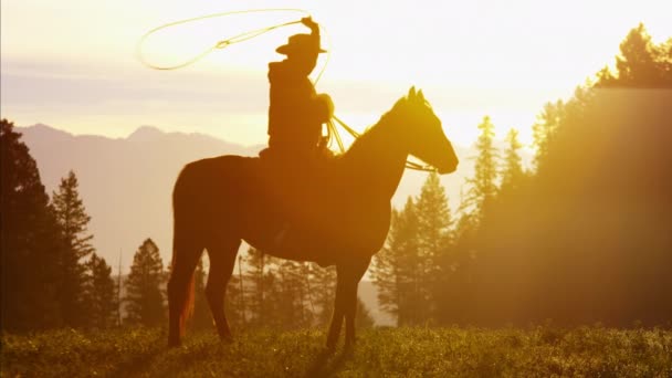 Gün batımında ormandaki kovboy binici — Stok video
