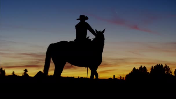 Cowboy Rider in  Wild West area — Stock Video