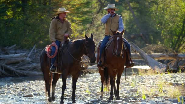 Renners op paarden lopen in de rivier — Stockvideo