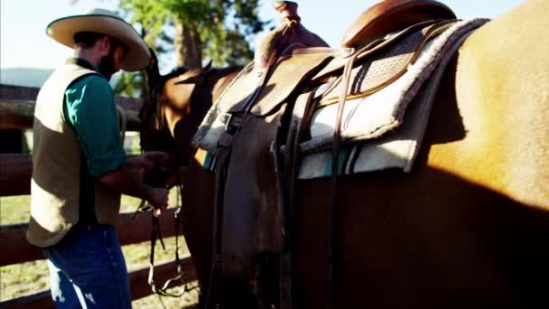 在稳定的谷仓里的牛仔 — 图库视频影像