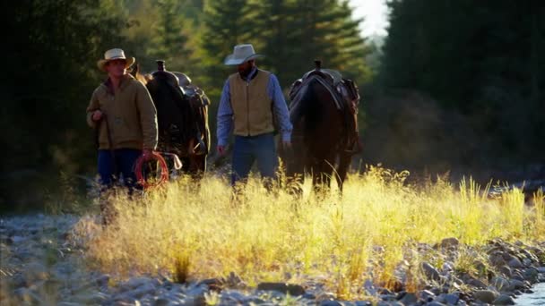 Kovboj jezdci s koňmi v Rocky mountains — Stock video