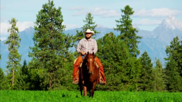 Jinete de caballos en el Parque Nacional de Kootenay — Vídeo de stock