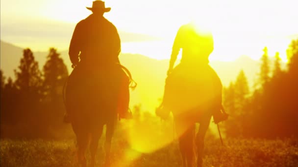 Cowboy Riders in forest wilderness area — Stock Video