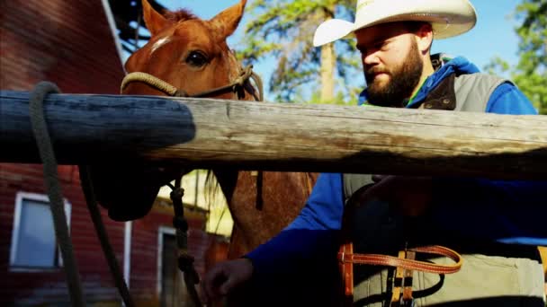 Kůň jezdce na ranči — Stock video
