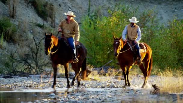 牛仔们骑着马在河里 — 图库视频影像