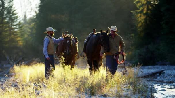 Рабочие руки ранчо ходьба с лошадьми — стоковое видео