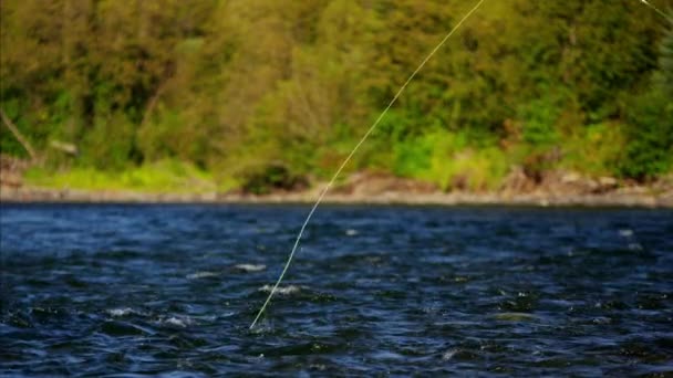 Erkek yarışmaya balıkçılık sinek — Stok video