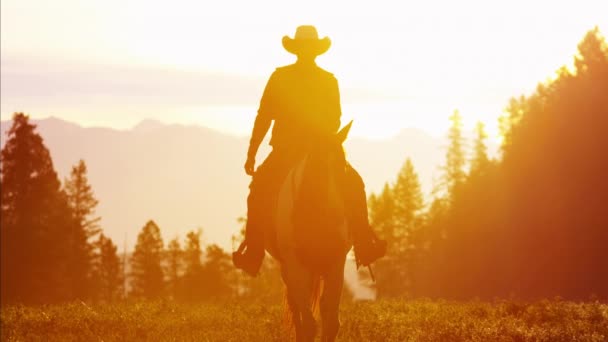 Cowboy Rider in wildernis bij zonsondergang — Stockvideo