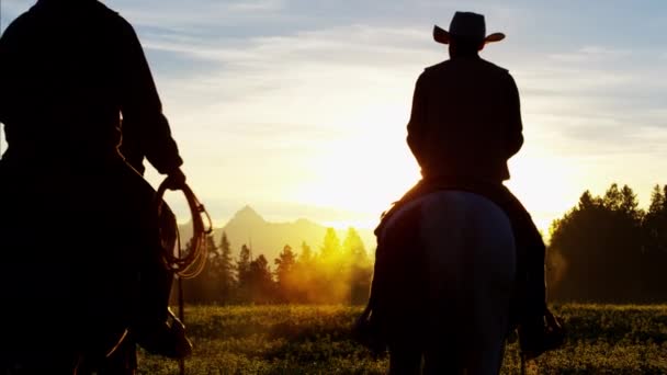 Cowboy ryttare i vildmarken skogsområde — Stockvideo