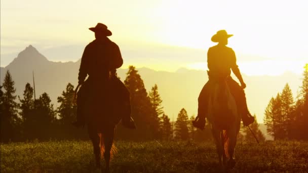 Cowboy Jinetes en el área silvestre del bosque — Vídeos de Stock