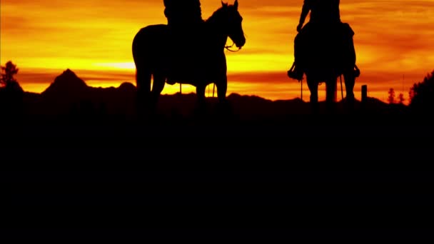 Kovboj jezdci v divočině na západ slunce — Stock video