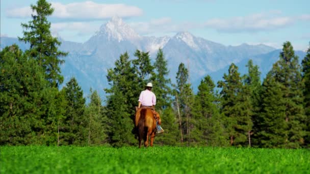 Häst ryttare på Kootenay nationalpark — Stockvideo