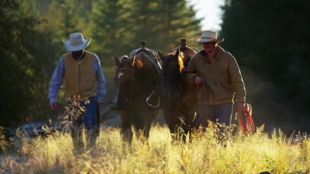 Travailler ranch mains marchant avec des chevaux — Video