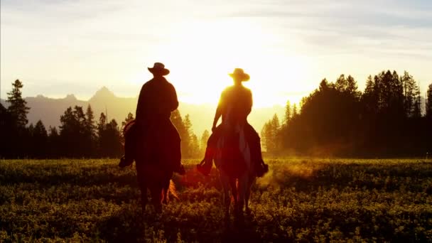 Cowboy lovasok erdő vadonban területén. — Stock videók