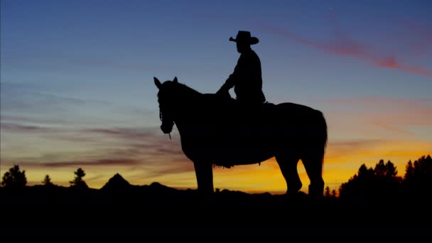 Cowboy Rider en el bosque al amanecer — Vídeo de stock