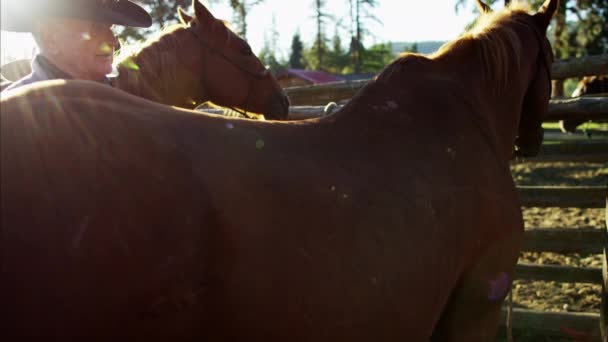 Jeździec, siodłania konia — Wideo stockowe