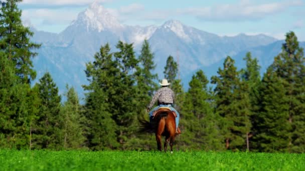 Jinete de caballos en la cordillera de Kootenay — Vídeo de stock