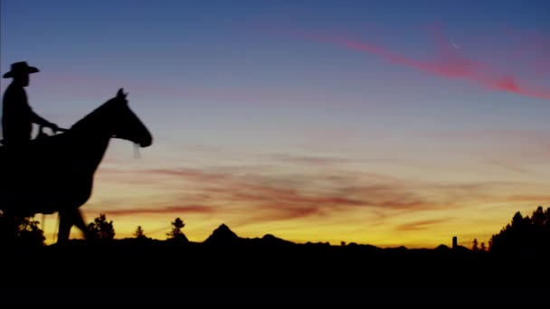 Cowboy Rider i skogen vid solnedgången — Stockvideo