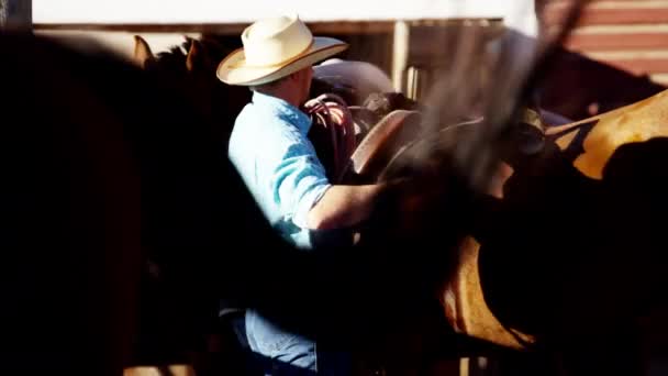 Cowboys em curral cavalo de sela — Vídeo de Stock