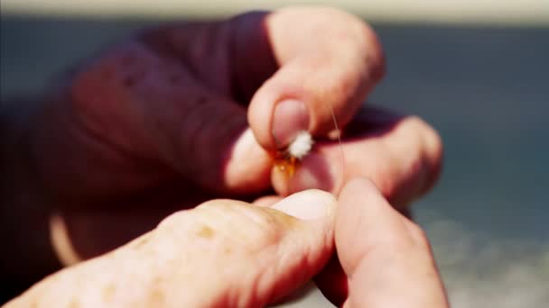 Pescador preparando mão amarrada mosca — Vídeo de Stock