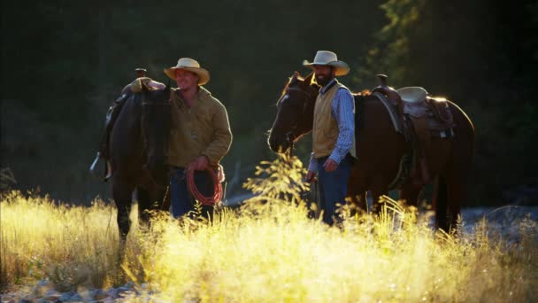 Cowboys Chevauchement de la forêt dans la rivière — Video