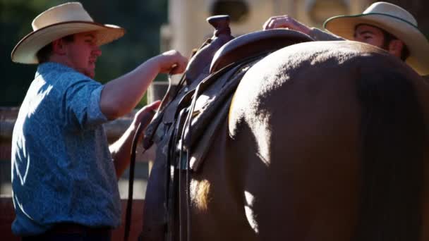 Cowboys i corral sadla hästen — Stockvideo