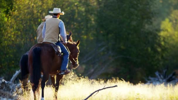 Renners op paarden in de Rocky mountains — Stockvideo