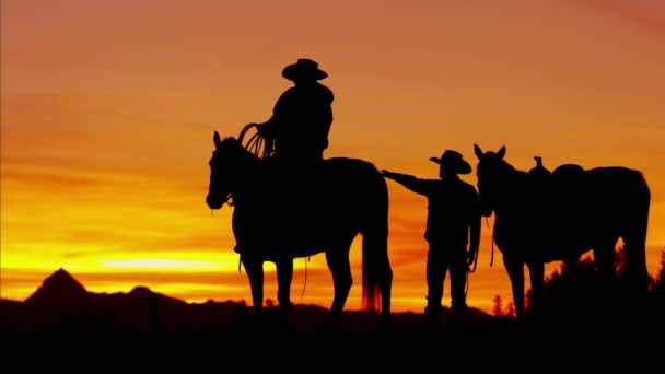 Cowboy Riders no deserto ao pôr-do-sol — Vídeo de Stock